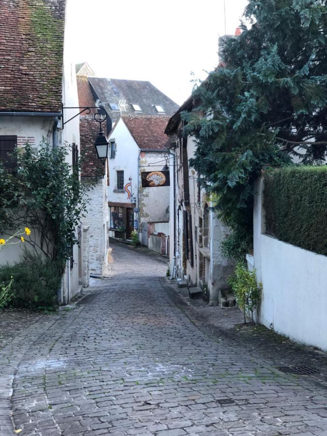 Vila L'Echappee En Sologne Mennetou-sur-Cher Exteriér fotografie